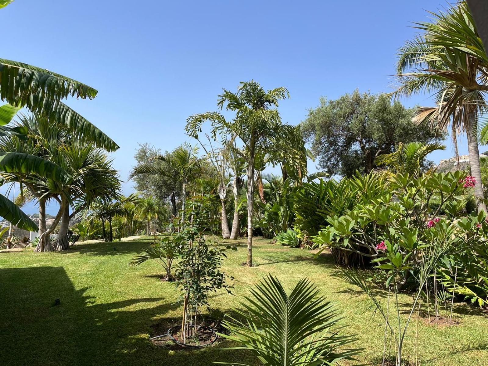Bed & Breakfast In Villa Eden Palm Benalmádena Zewnętrze zdjęcie